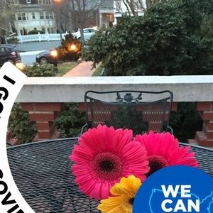 Meet your Posher, Jill